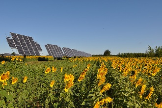 Solar Panels for Farms