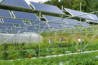 solar panels for greenhouse