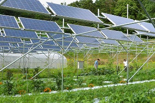 Solar Power Plant Supplier