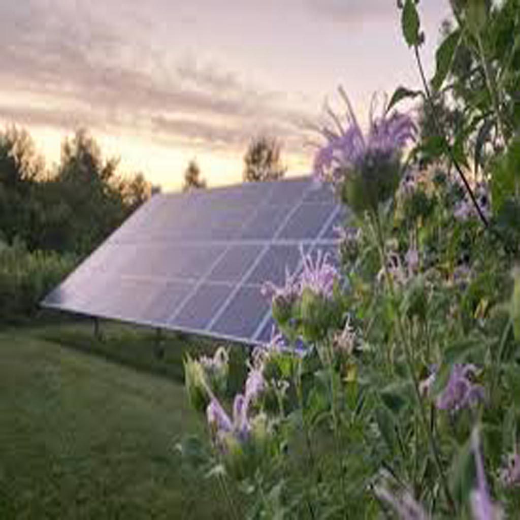 solar-panel-for-garden